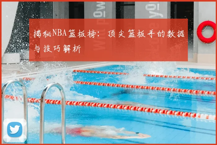 揭秘NBA篮板榜：顶尖篮板手的数据与技巧解析