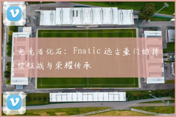 电竞活化石：Fnatic 远古豪门的持续征战与荣耀传承