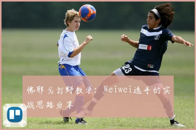 佛耶戈打野教学：Weiwei选手的实战思路分享